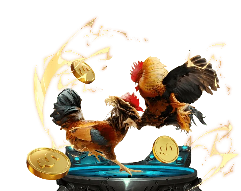 Cá cược Đá Gà